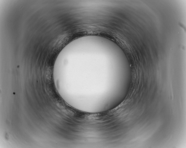 X0000095510078200712140944