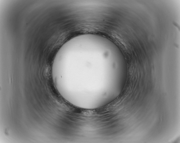 X0000095510079200712140944
