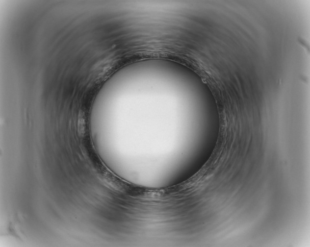 X0000095510080200712140944