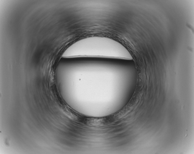 X0000095510081200712140944
