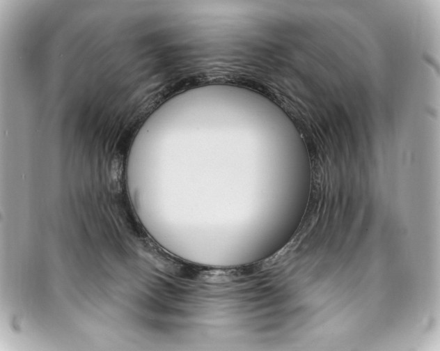 X0000095510082200712140944