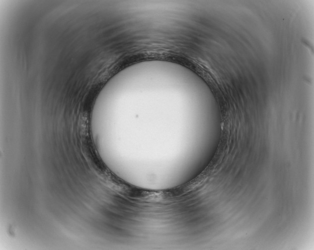 X0000095510083200712140944