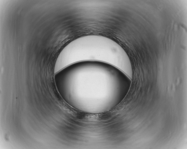 X0000095510084200712140944