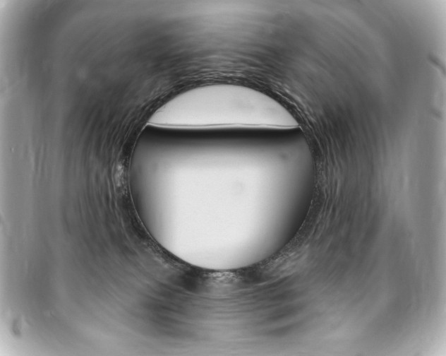 X0000095510087200712140944