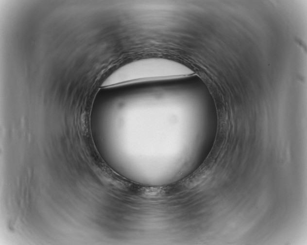 X0000095510088200712140944