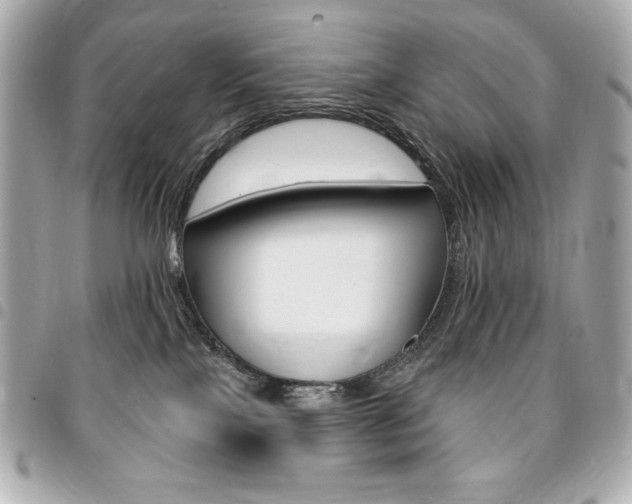 X0000095510089200712140944