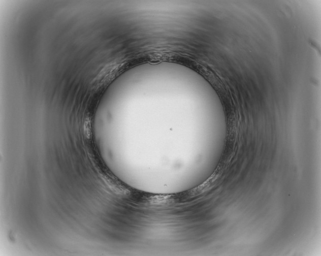 X0000095510090200712140944