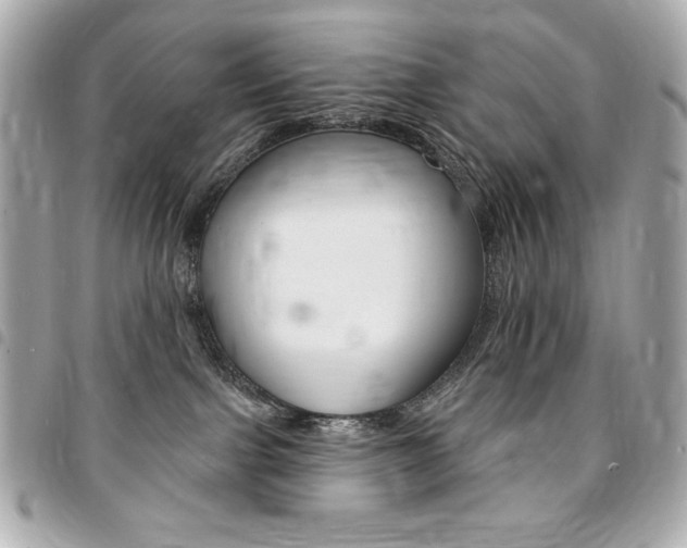 X0000095510091200712140944
