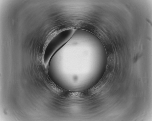 X0000095510092200712140944