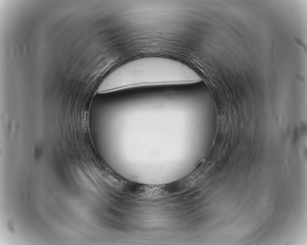 X0000095510093200712140944