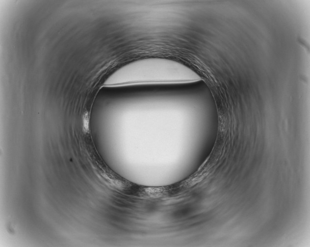 X0000095510095200712140944