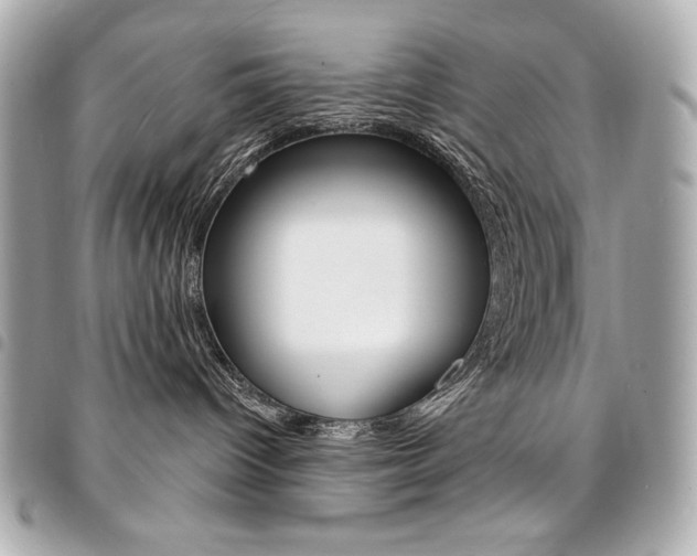 X0000095510096200712140944