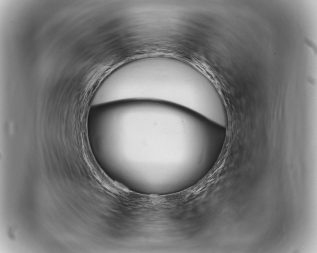 X0000095510097200712140943