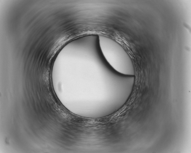X0000095510098200712140943
