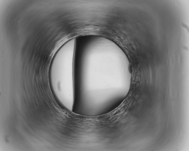 X0000095510099200712140943
