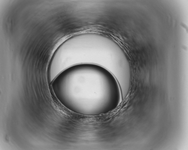 X0000095510100200712140943