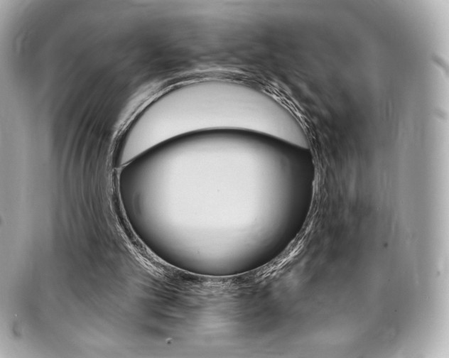 X0000095510101200712140943