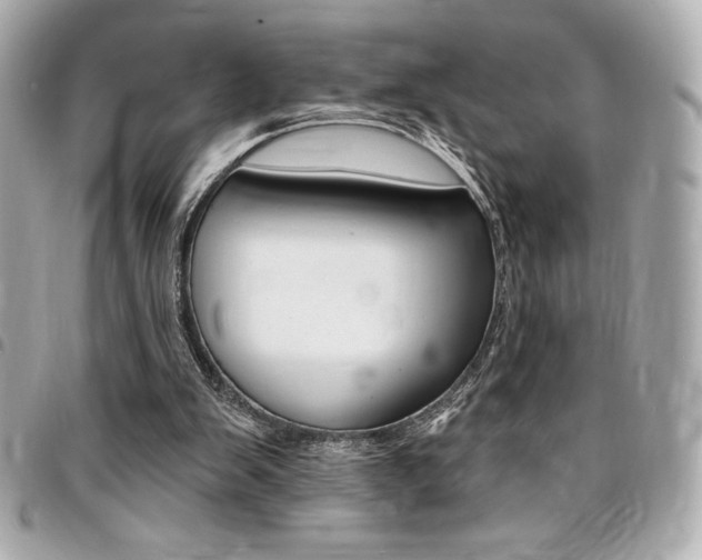X0000095510103200712140943