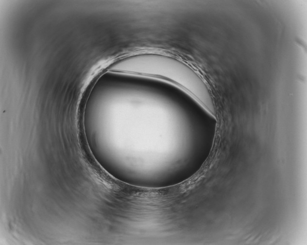 X0000095510104200712140943