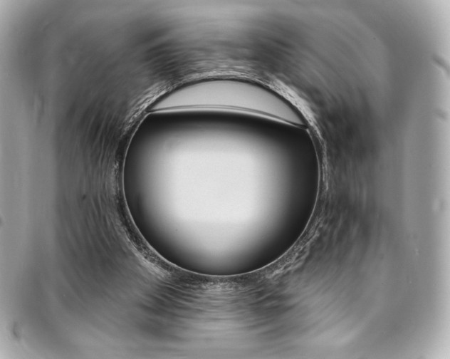 X0000095510105200712140943