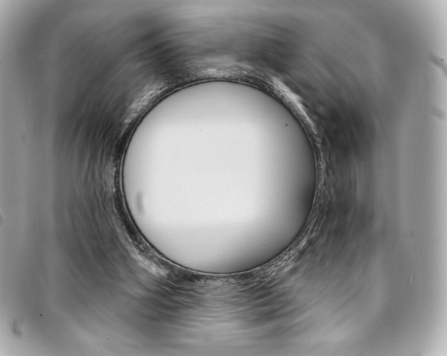X0000095510106200712140943