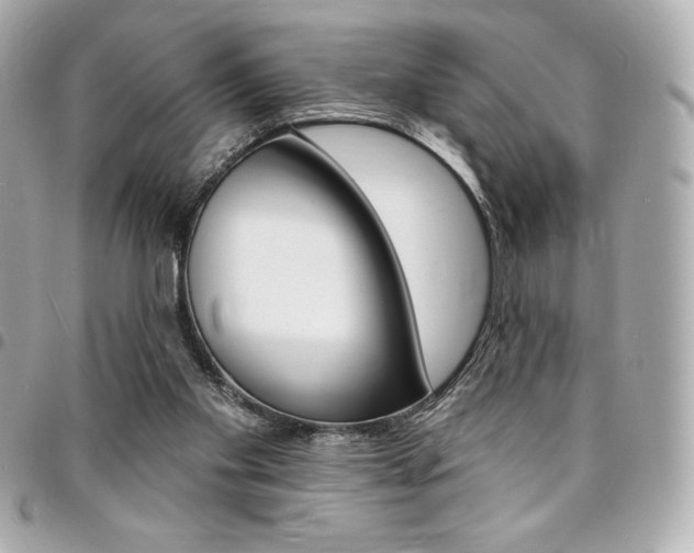 X0000095510109200712140943