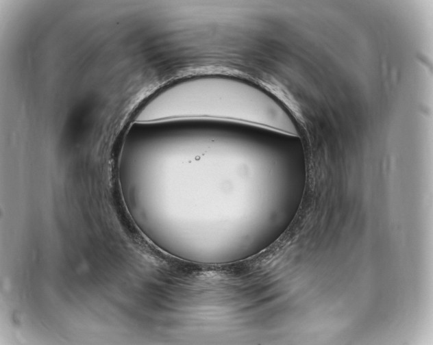 X0000095510111200712140943