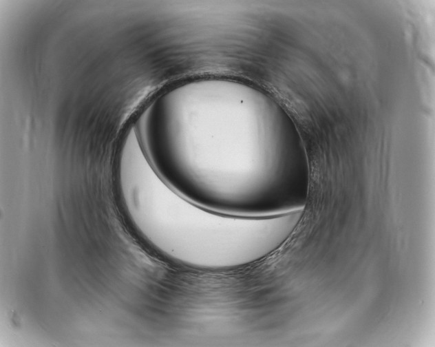 X0000095510112200712140943