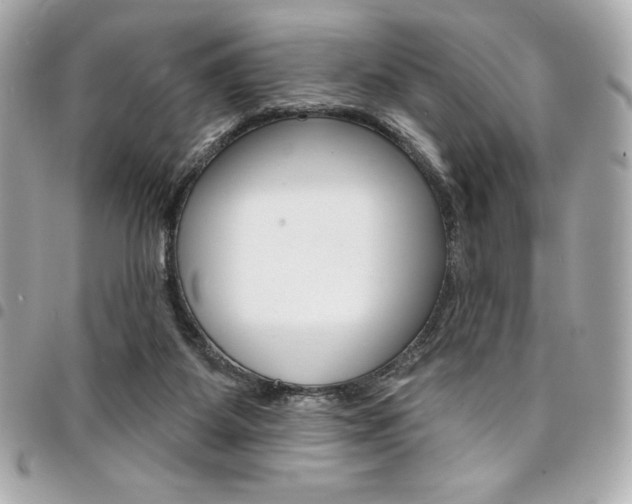 X0000095510115200712140943