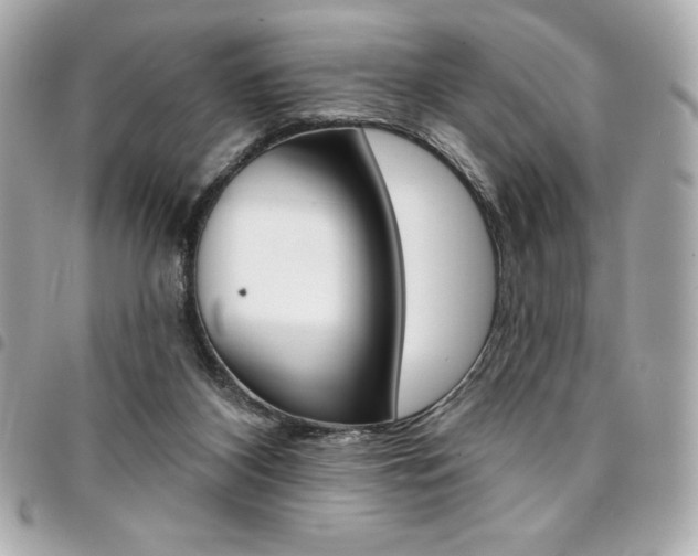 X0000095510116200712140943