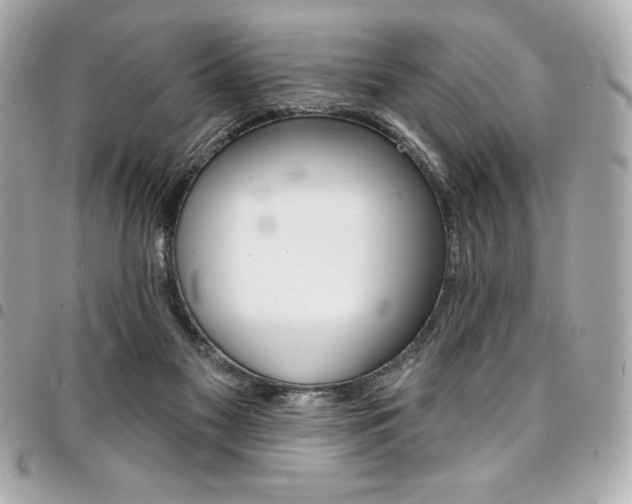 X0000095510117200712140943