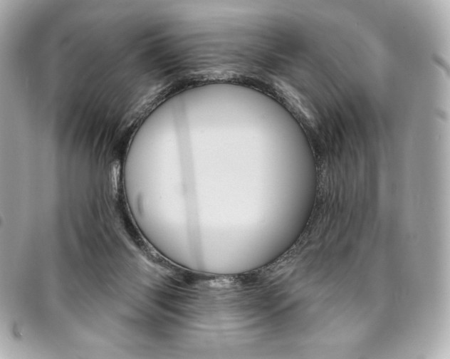 X0000095510118200712140943