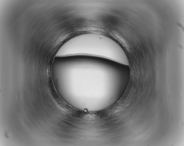 X0000095510119200712140943