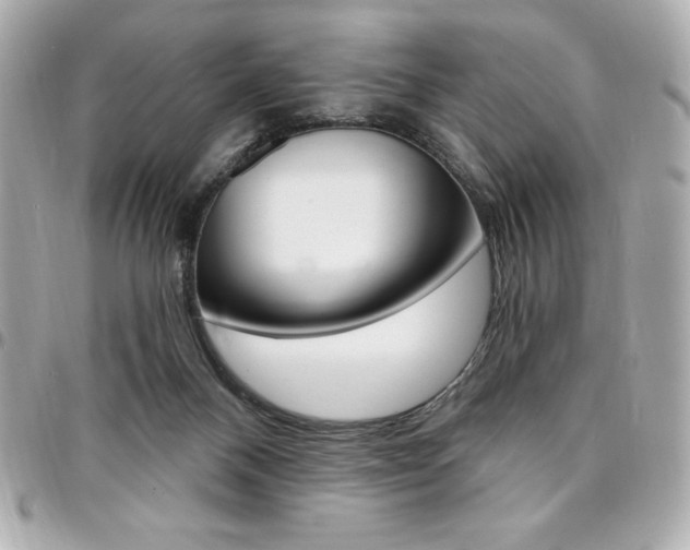 X0000095510120200712140943