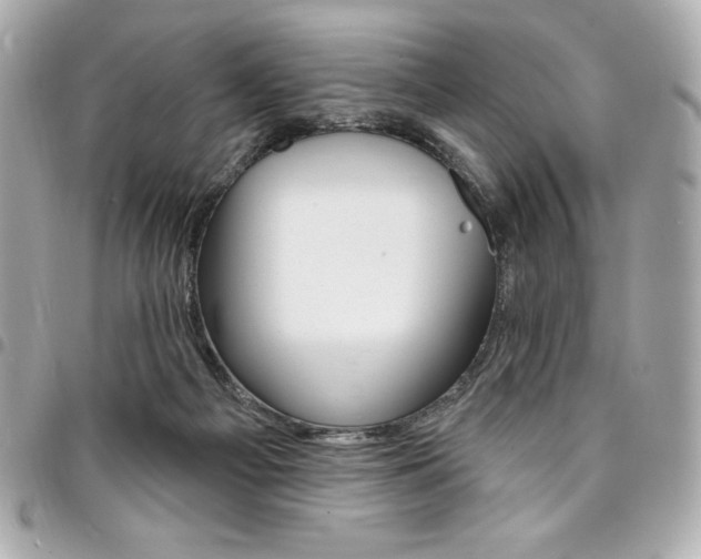 X0000095510121200712140943