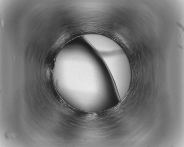 X0000095510124200712140943