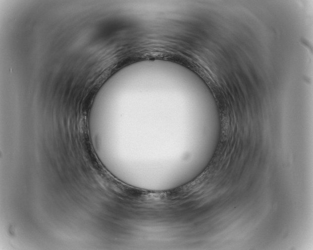 X0000095510126200712140943
