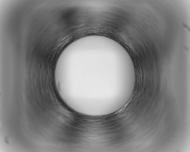 X0000095510128200712140943