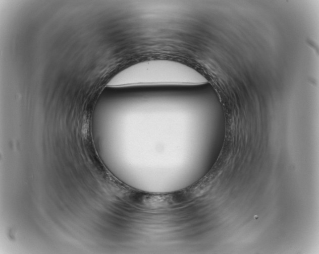 X0000095510129200712140943