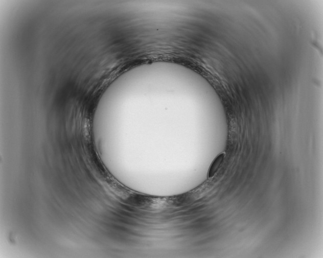 X0000095510130200712140943