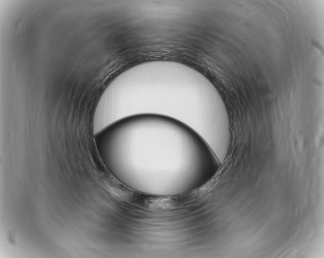 X0000095510132200712140943