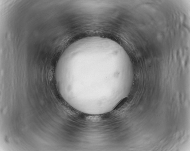 X0000095510133200712140943