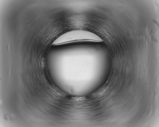 X0000095510135200712140943
