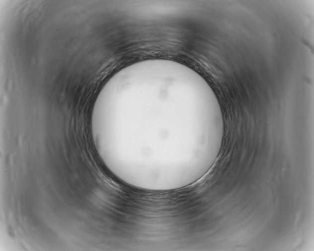 X0000095510136200712140943