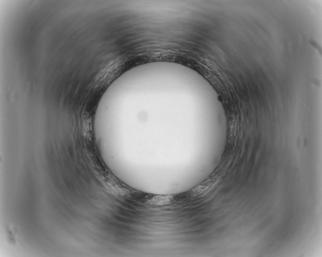 X0000095510138200712140943