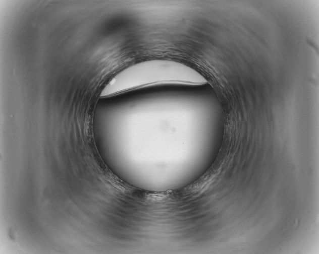X0000095510139200712140943