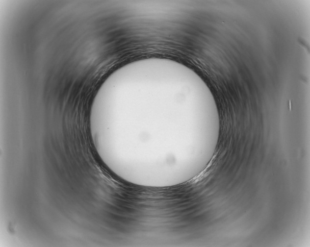 X0000095510140200712140943
