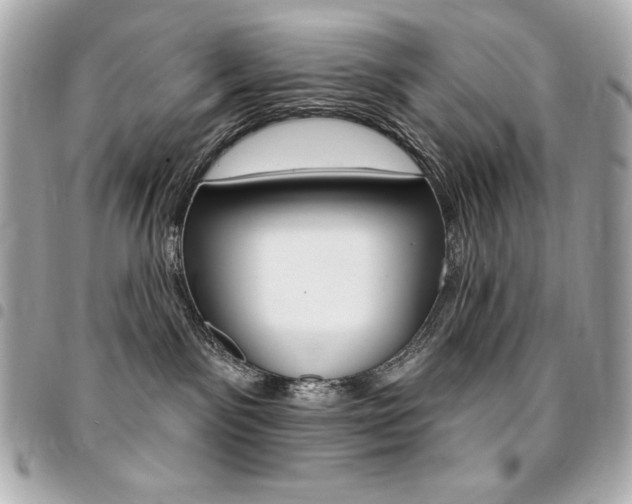 X0000095510141200712140943