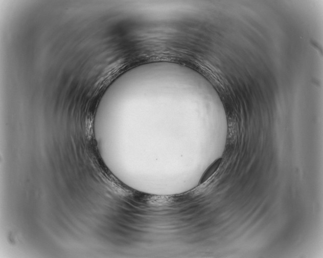 X0000095510142200712140943