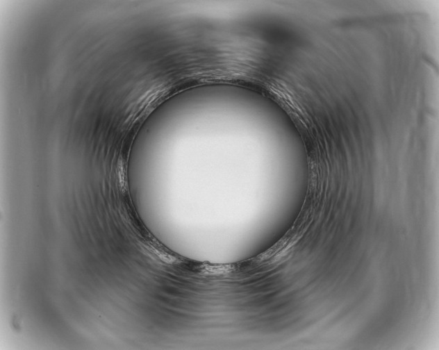 X0000095510143200712140943